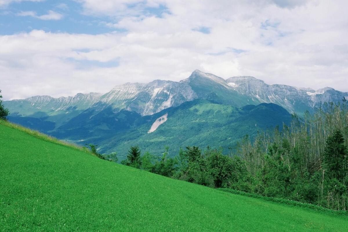 Soca Valley Berghaus 코바리드 외부 사진